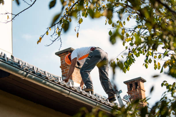 Best Roof Maintenance and Cleaning  in Inesville, GA