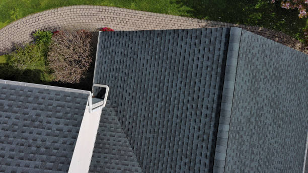 Best Storm Damage Roof Repair  in Inesville, GA